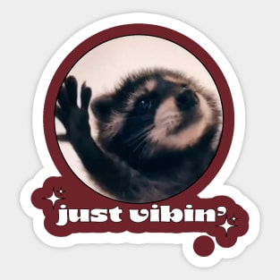 Dancing Raccoon Pedro Vintage Just Vibing lover  Meme Sticker